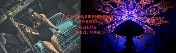 круглые Аркадак