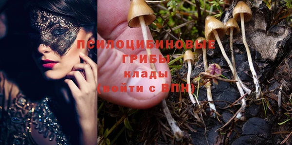 круглые Аркадак