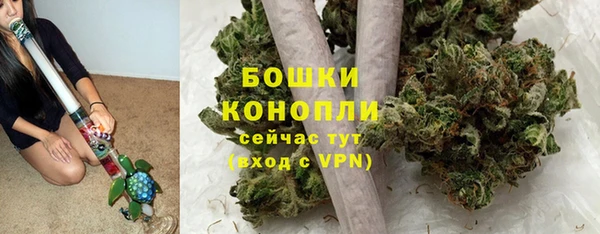 спайс Арсеньев