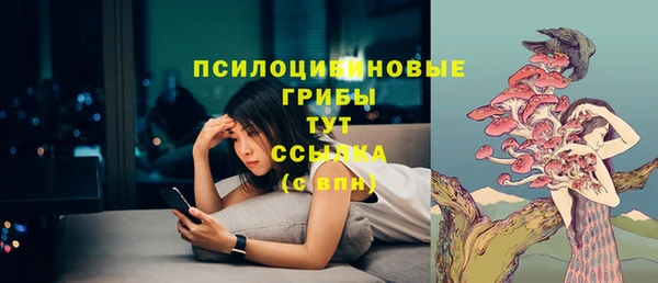 спайс Арсеньев
